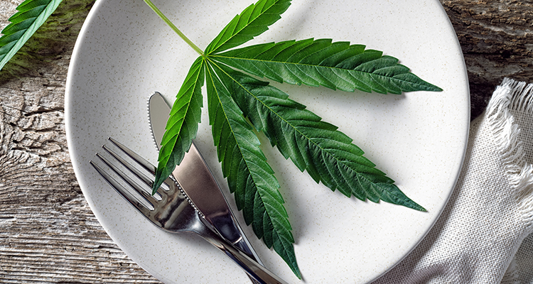 Kochen mit Cannabis