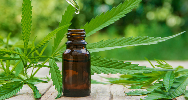 Hanf-Tinkturen selbst gemacht