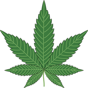 Nutzhanf - Hanfblatt