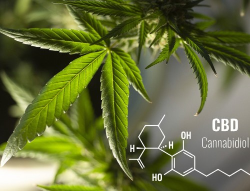 10 interessante Fakten über CBD